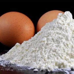 پروتئین سفیده تخم مرغ